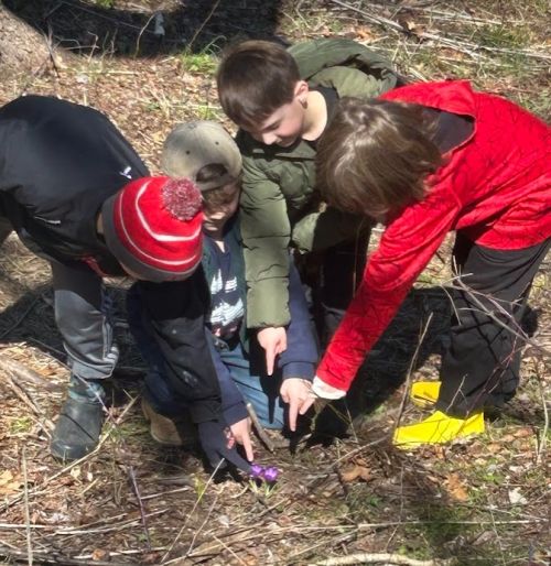 Weekly Update April 10 - 17